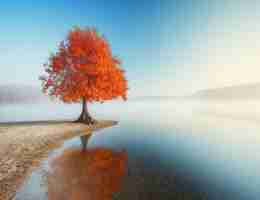 seo战​略﻿推﻿广​